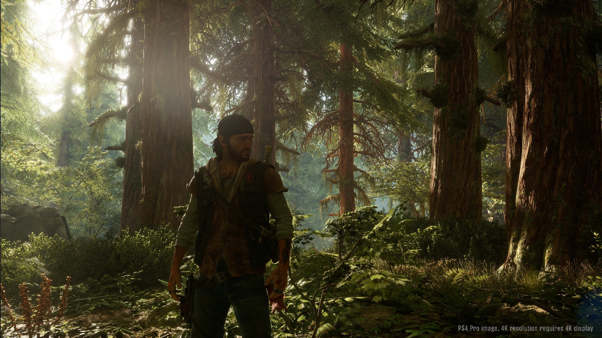 Days Gone - Imagen 21